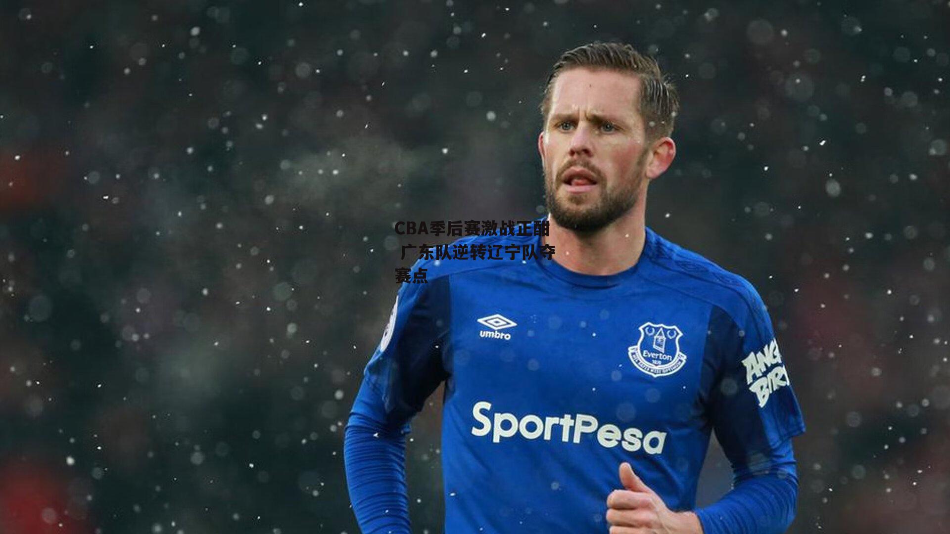 CBA季后赛激战正酣 广东队逆转辽宁队夺赛点