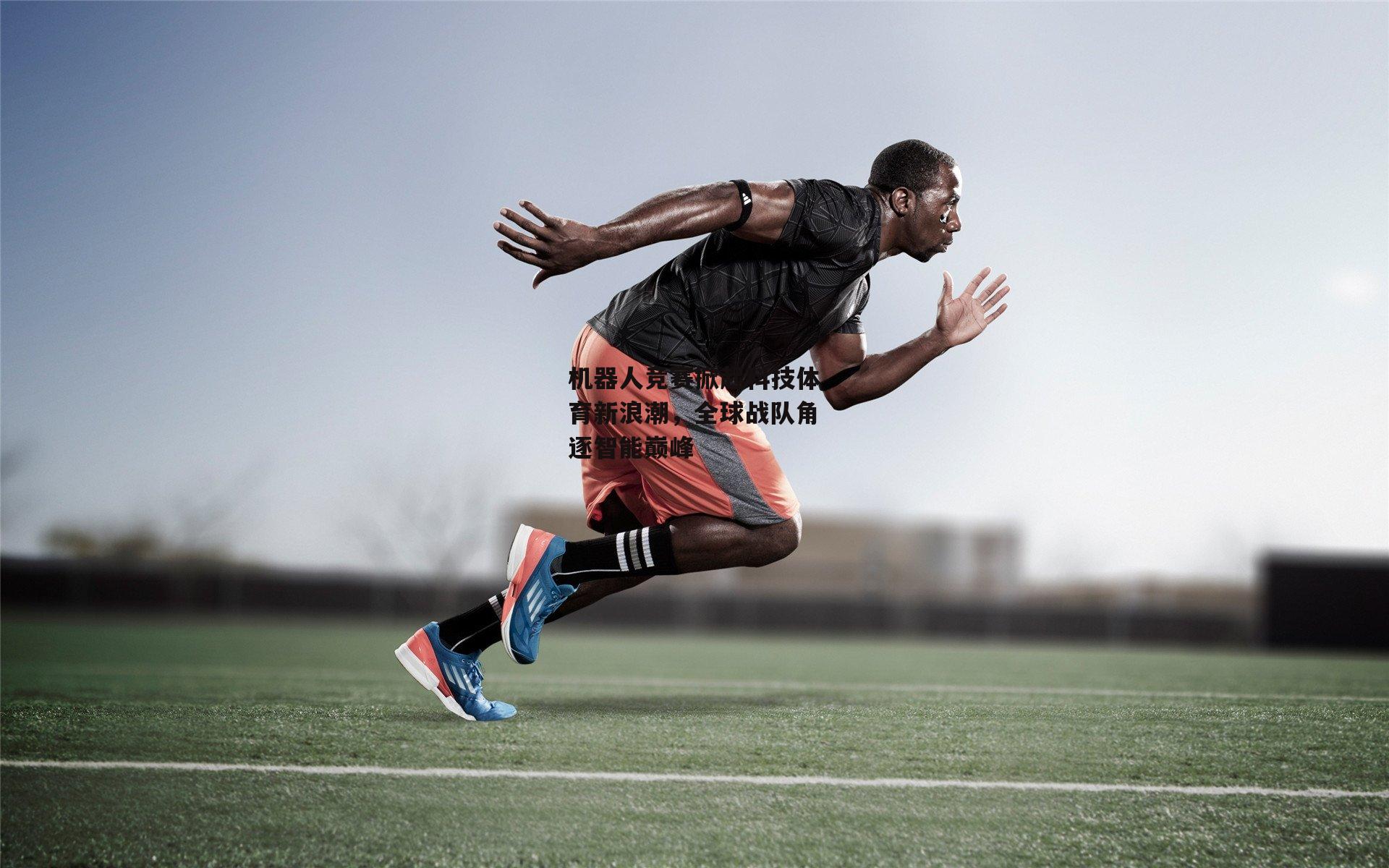 机器人竞赛掀起科技体育新浪潮，全球战队角逐智能巅峰