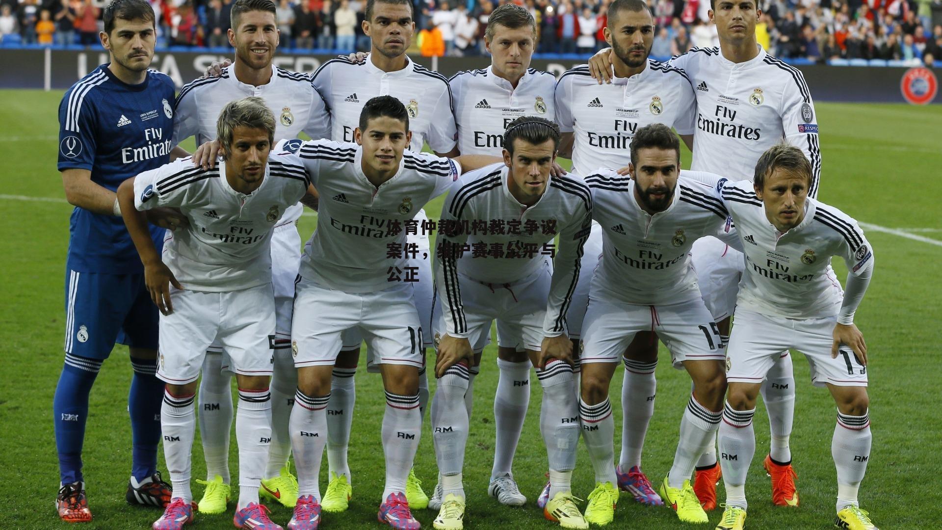 体育仲裁机构裁定争议案件，维护赛事公平与公正