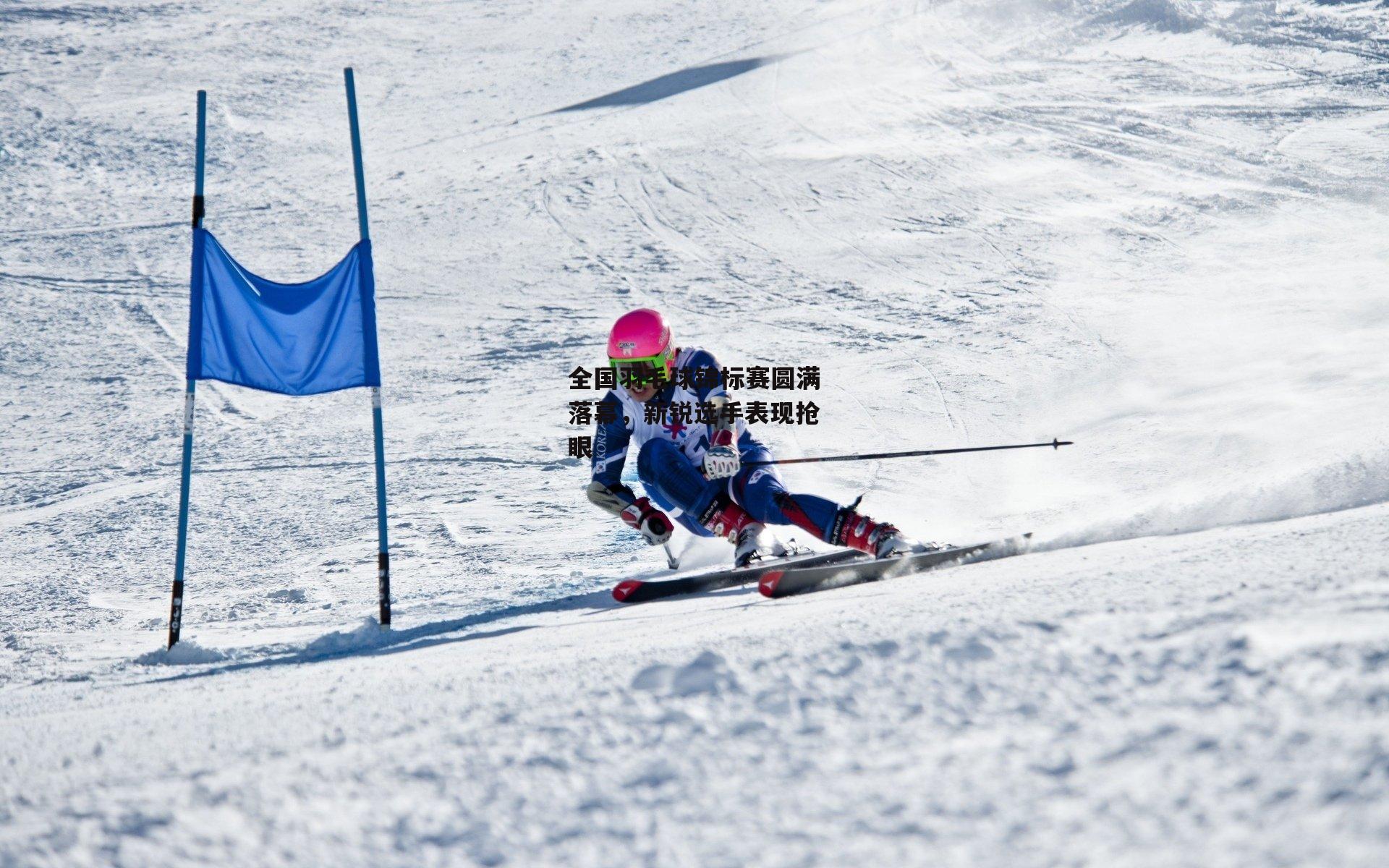 全国羽毛球锦标赛圆满落幕，新锐选手表现抢眼